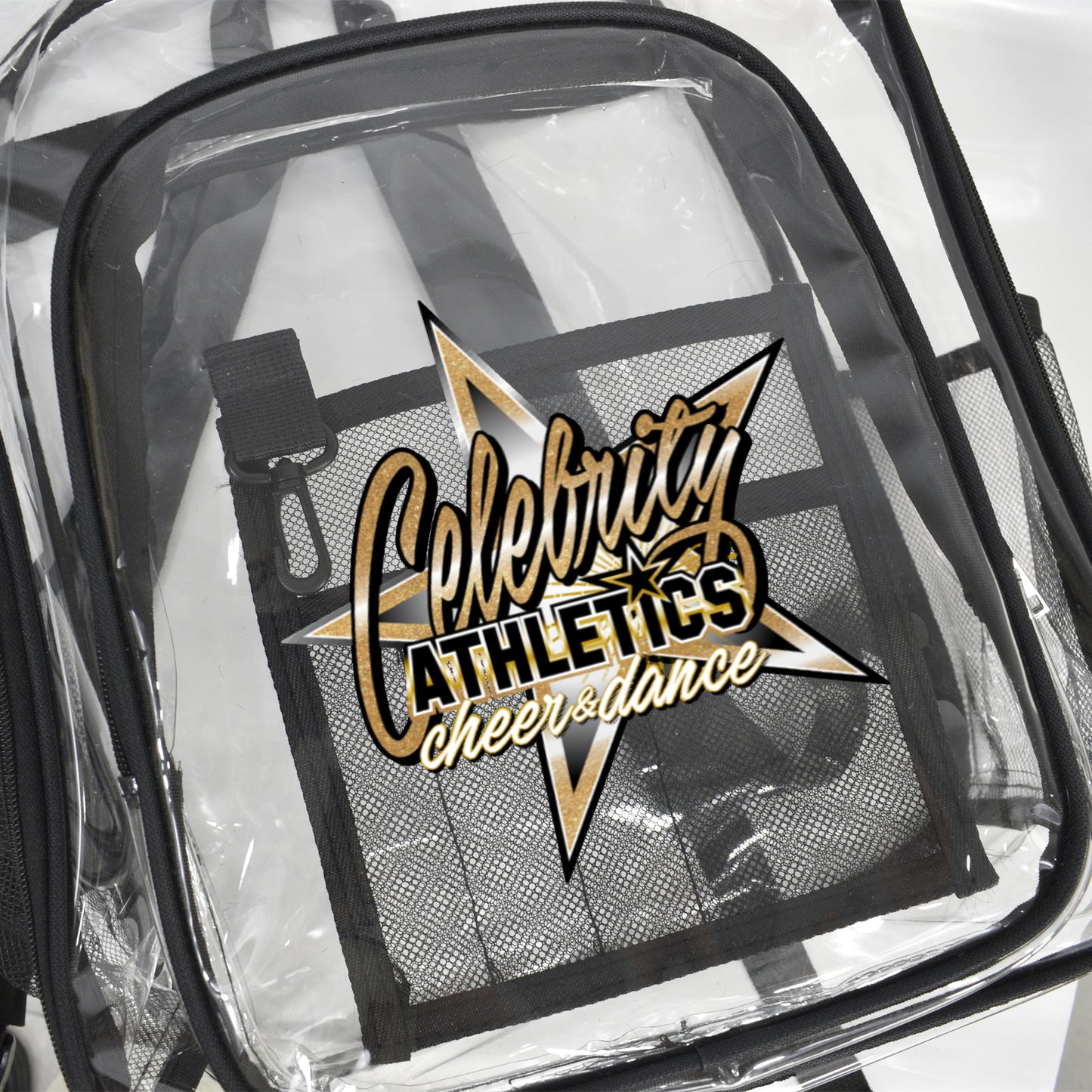 Transparent Backpack