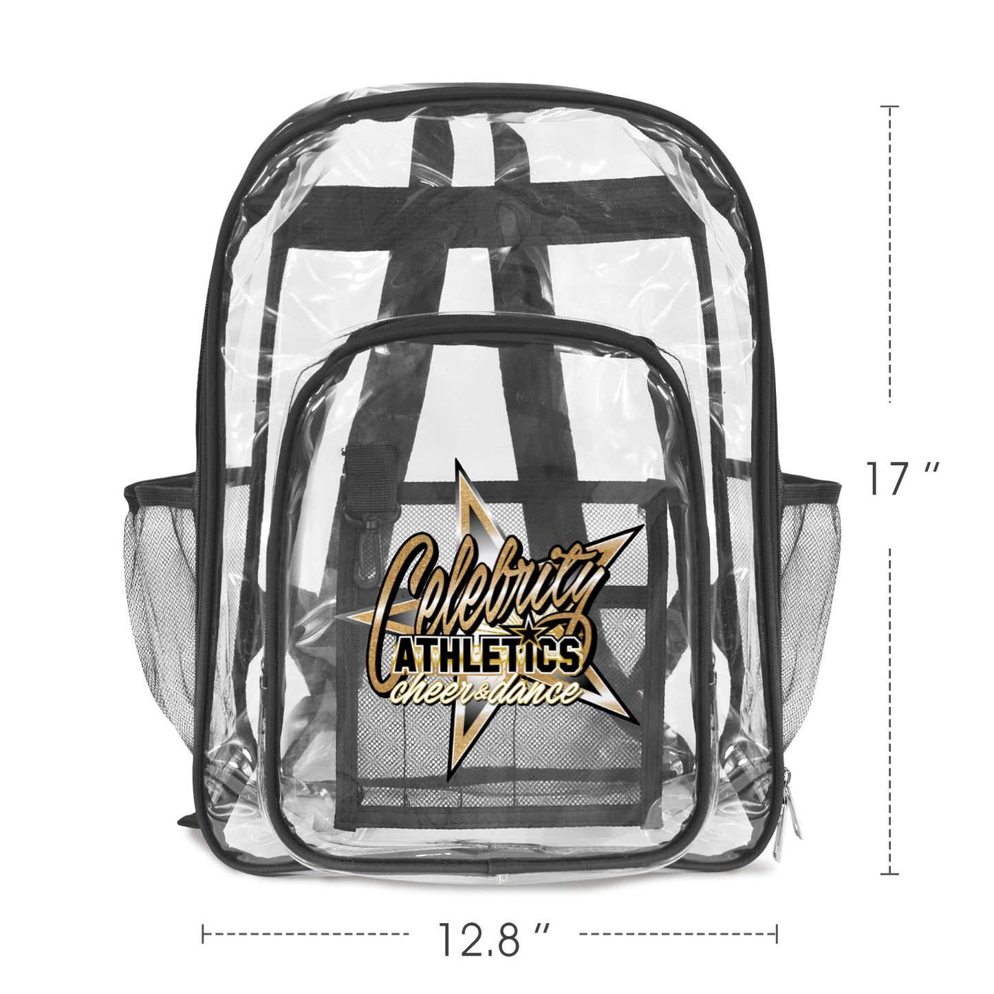 Transparent Backpack