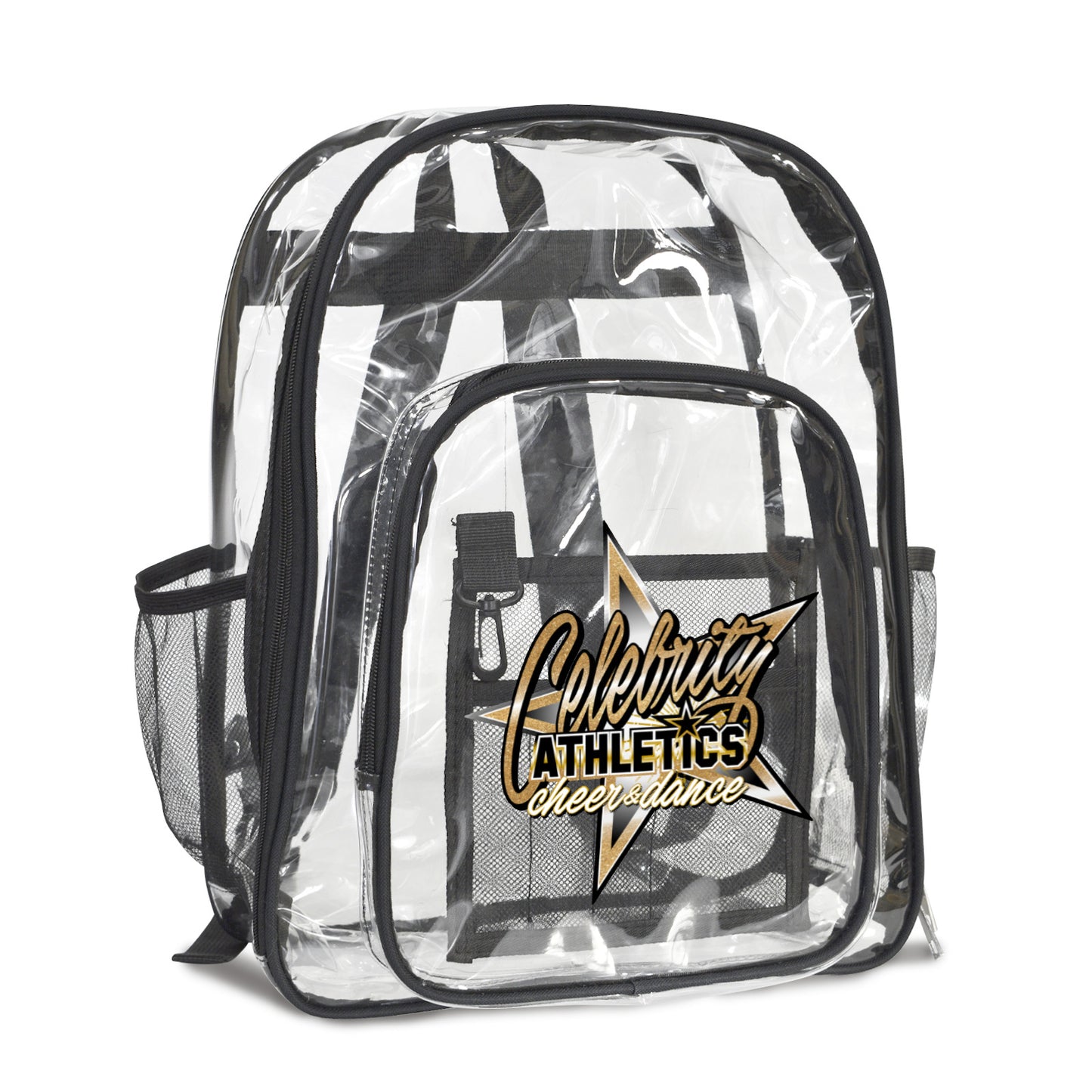 Transparent Backpack